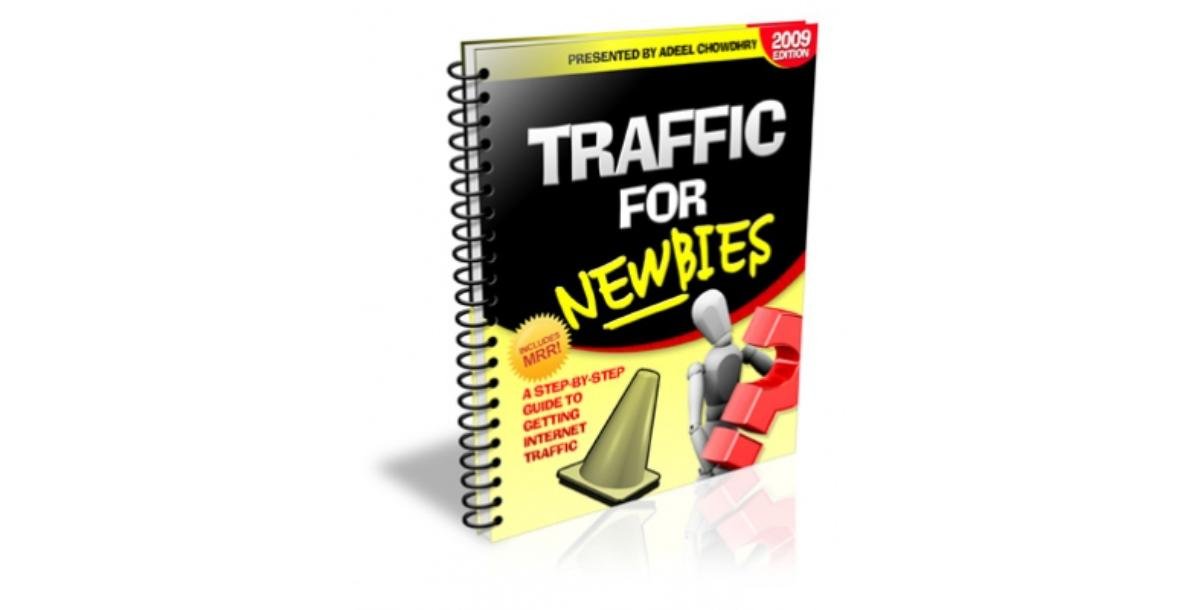 Traffic For Newbies-3193