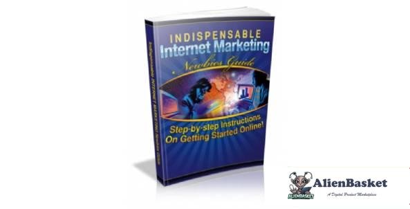 Indispensable Internet Marketing Newbies Guide-3221