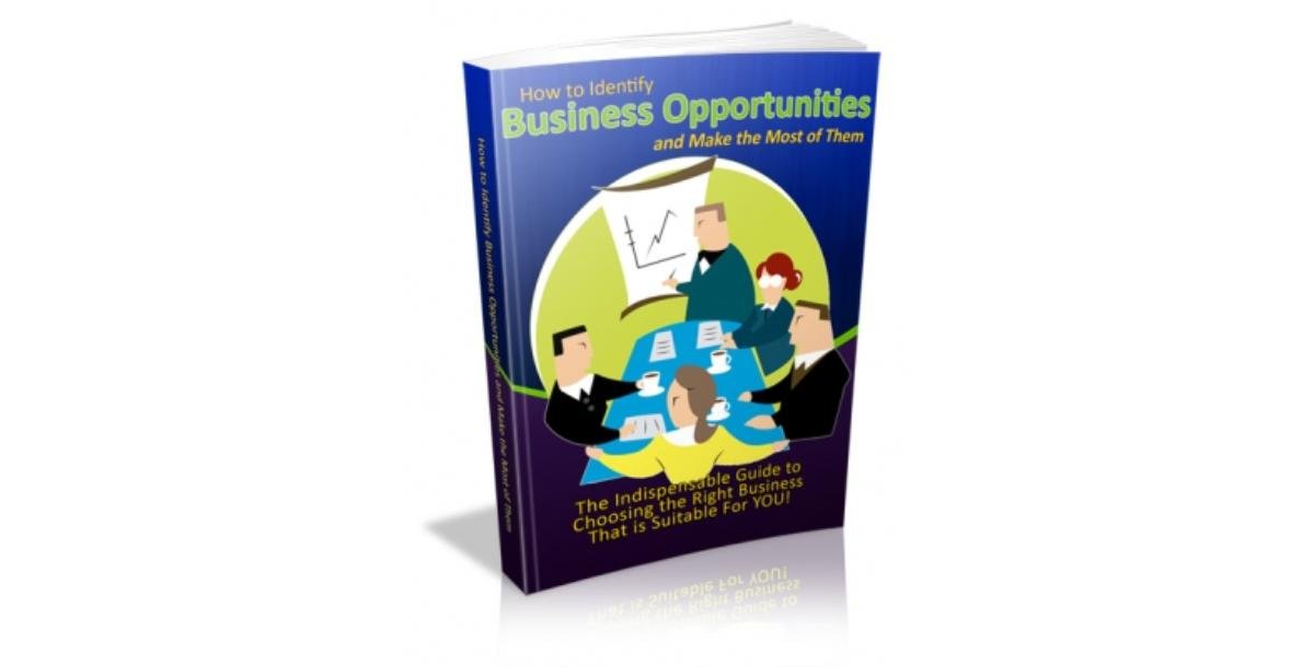 How to Identify Business Opportunities and Make the Most of Them-8893