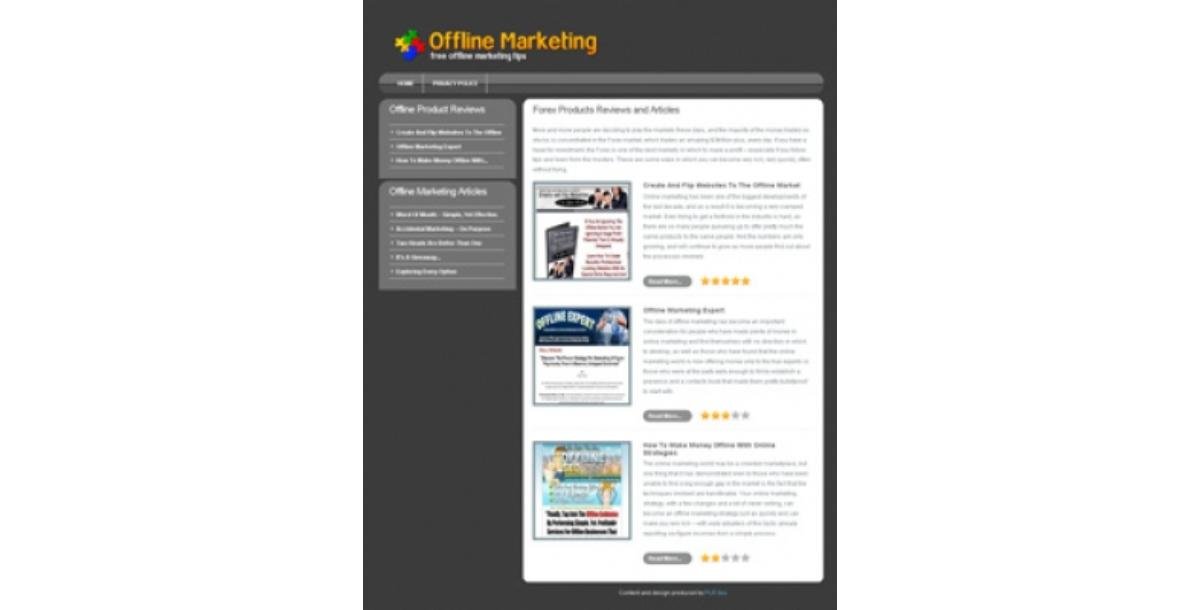 Offline Marketing Niche Site-3246