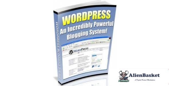 Wordpress - An Incredibly Powerful Blogging System!-3261