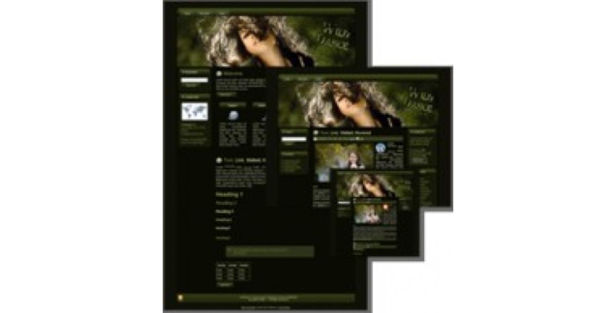 Wild Dance - WP Theme-5421