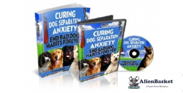 Curing Dog Separation Anxiety-6239