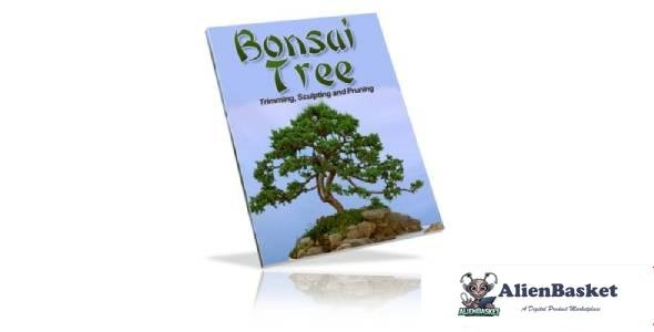 Bonsai Tree-5365