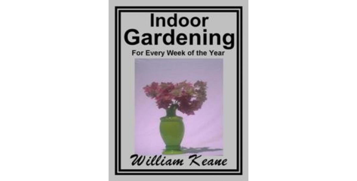 Indoor Gardening-5370