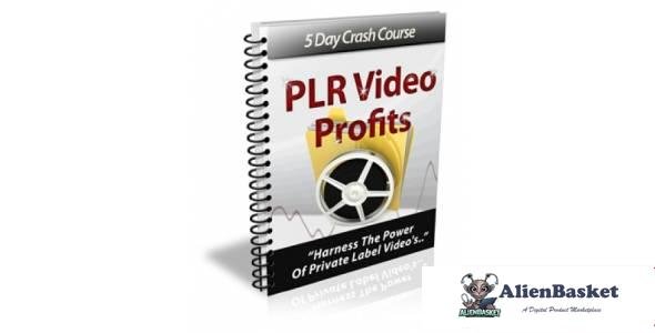 PLR Video Profits-8947