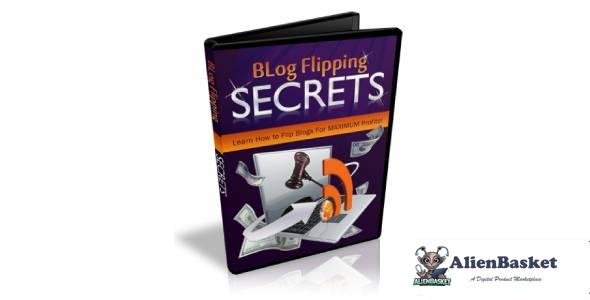 Blog Flipping Secrets-9316