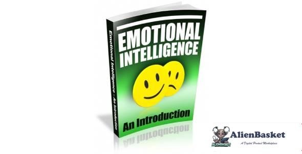 Emotional Intelligence - An Introduction-5999