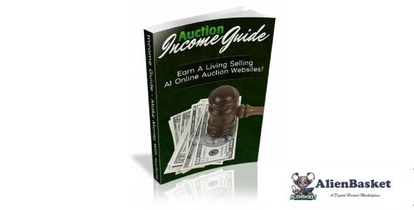 Auction Income Guide-8972