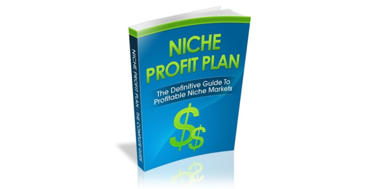 Niche Profit Plan-3340