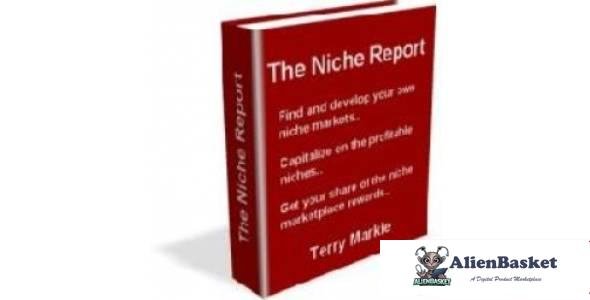 The Niche Report-2017