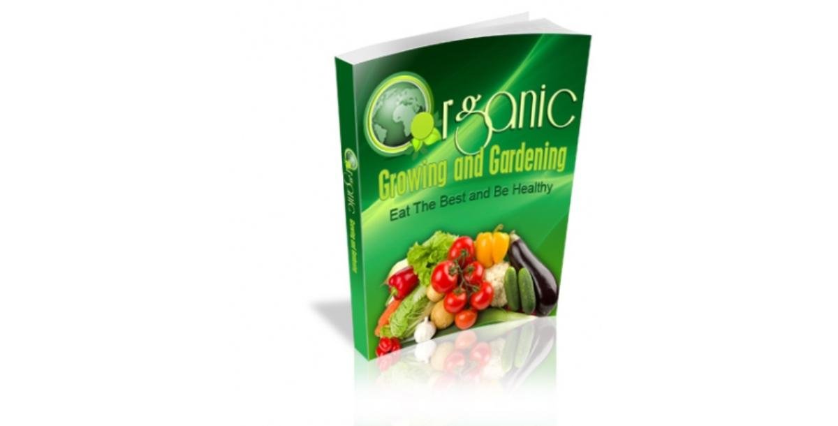 Organic Growing And Gardening-5381