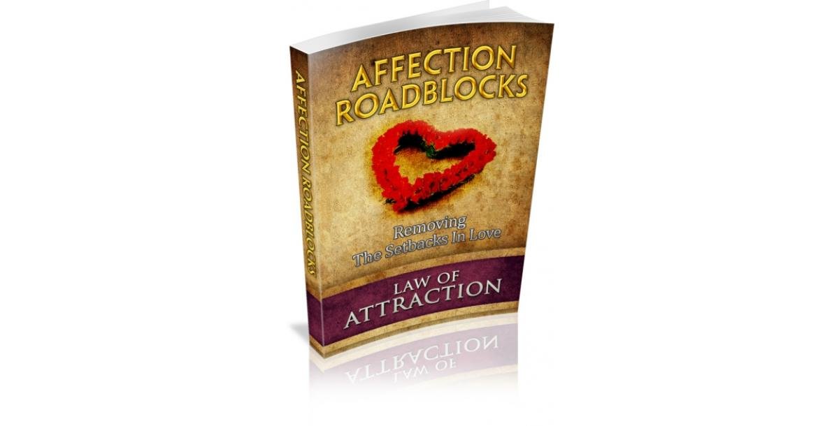 Affection Roadblocks-6939