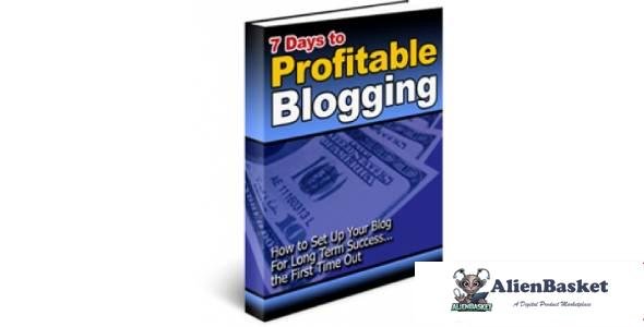 7 Days to Profitable Blogging-2573