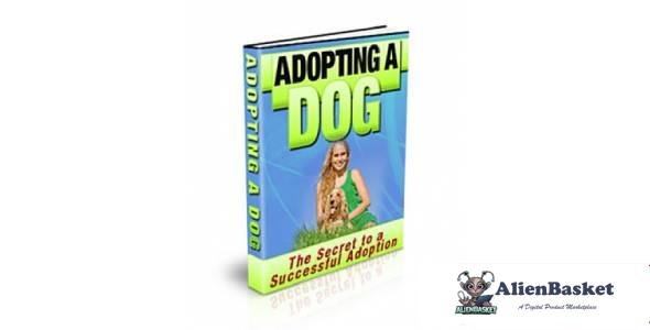 Adopting a Dog - PLR-3590