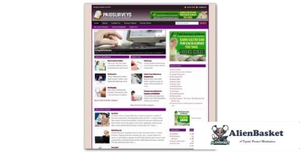 Online Paid Surveys Niche Blog-3889