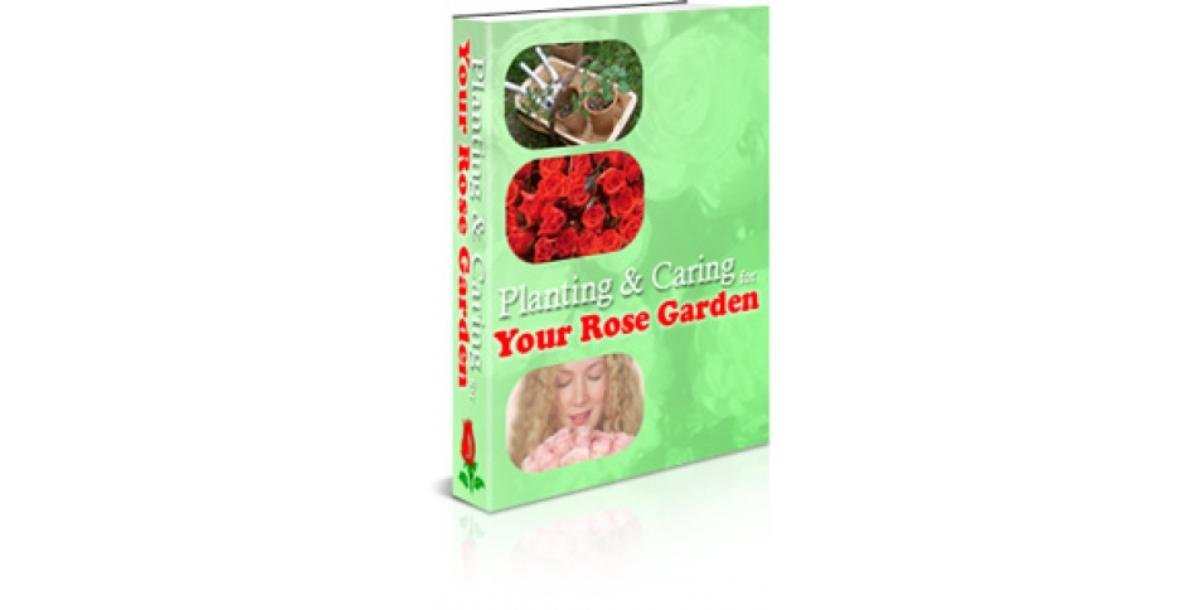 Planning & Caring Your Rose Garden-5233