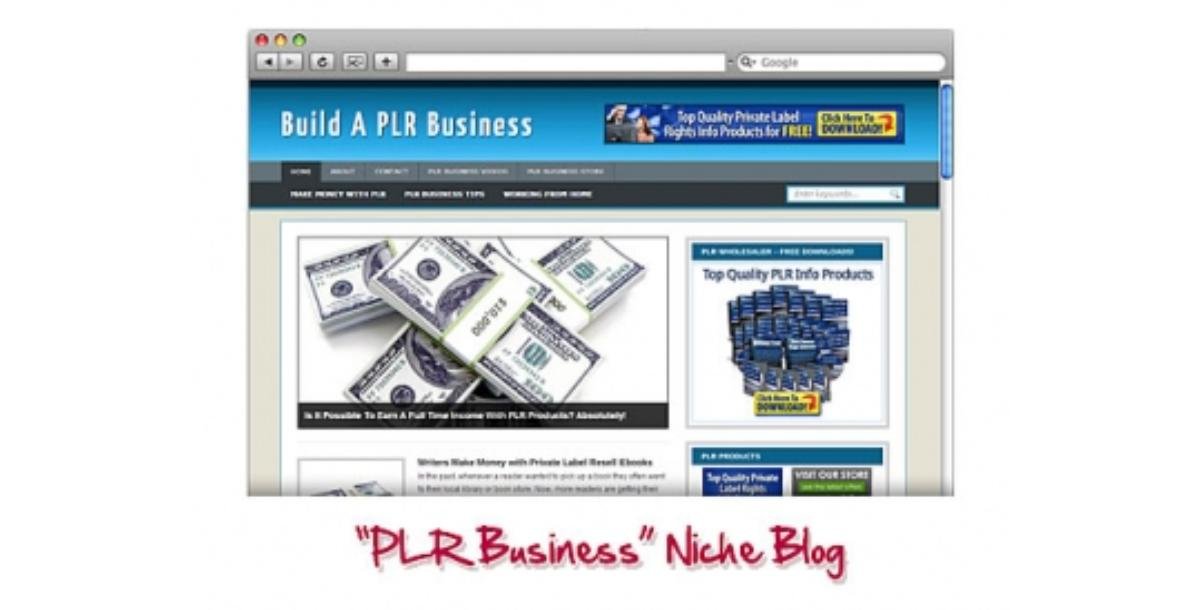 PLR Business WordPress Niche Blog-3680