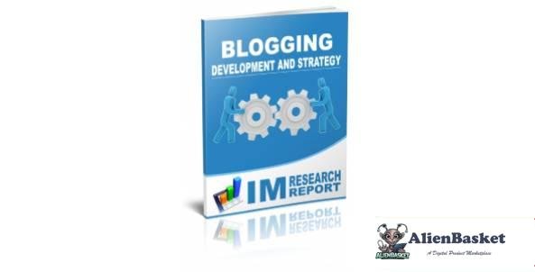 Blogging Report - Development and Strategy-3716