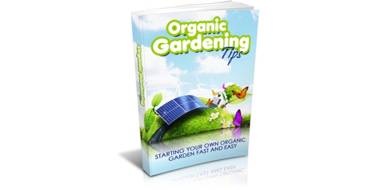 Organic Gardening Tips-5401