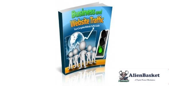 Business and Website Traffic-3753