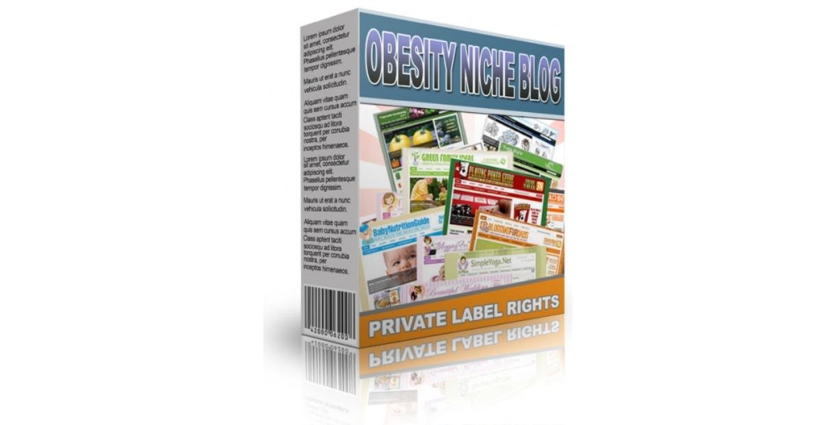 Obesity Niche Blog-3920