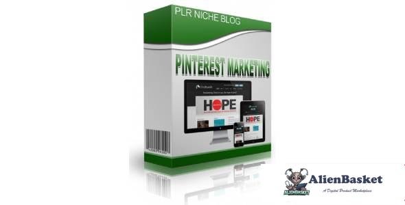 Pinterest Marketing Niche Blog-3779