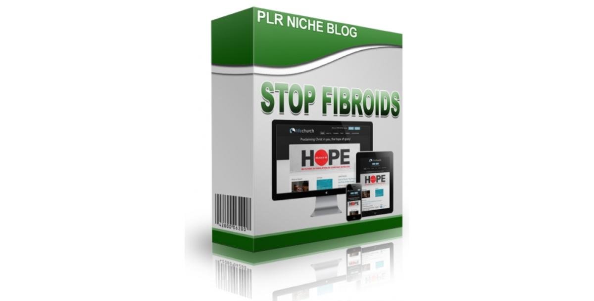 Stop Fibroids Niche Blog-3781