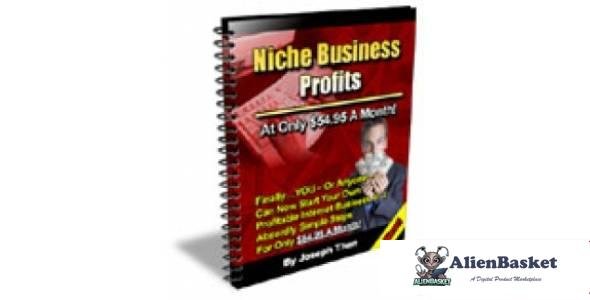 Niche Business Profits-1506