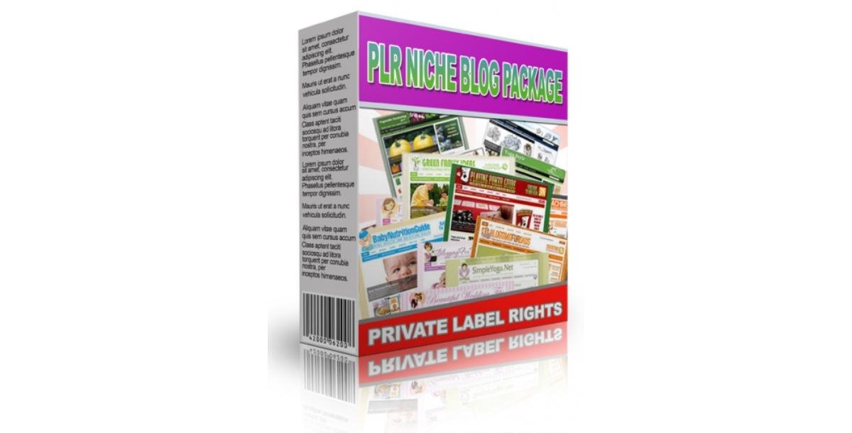 PLR Niche Blog Package June 2013-3922
