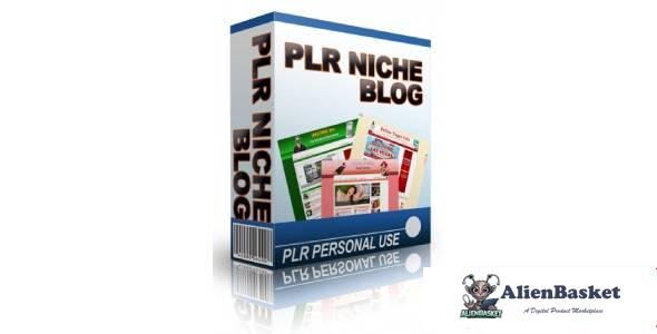 PLR Niche Blog June 2013-3923