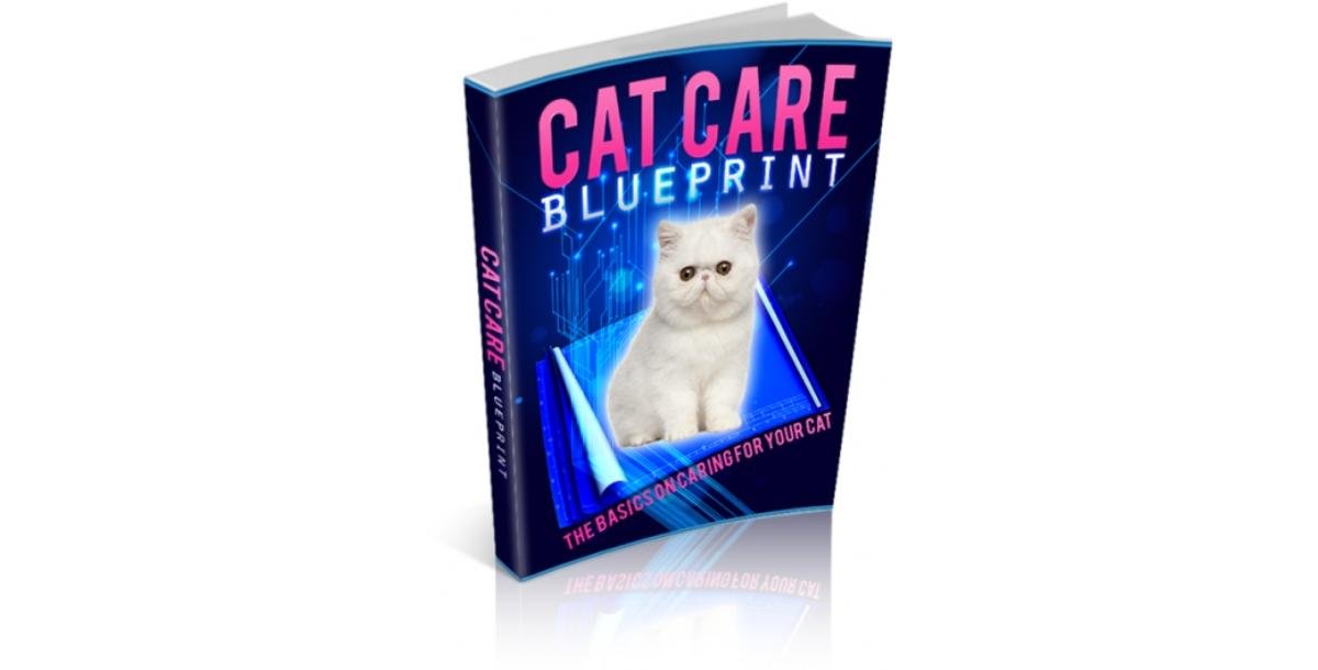 Cat Care Blueprint-8154