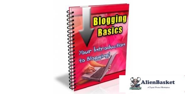 Blogging Basics 2013-3938