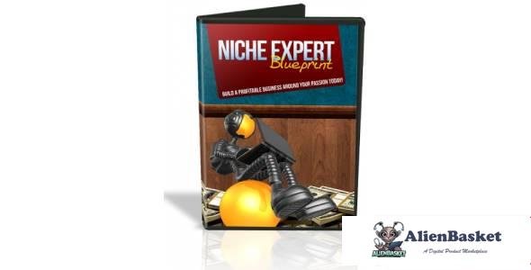 Niche Expert Blueprint-3986