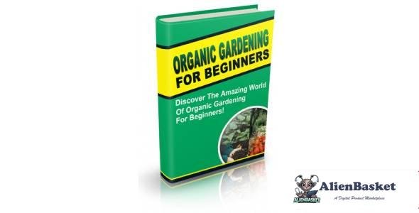 Organic Gardening For Beginners-5436