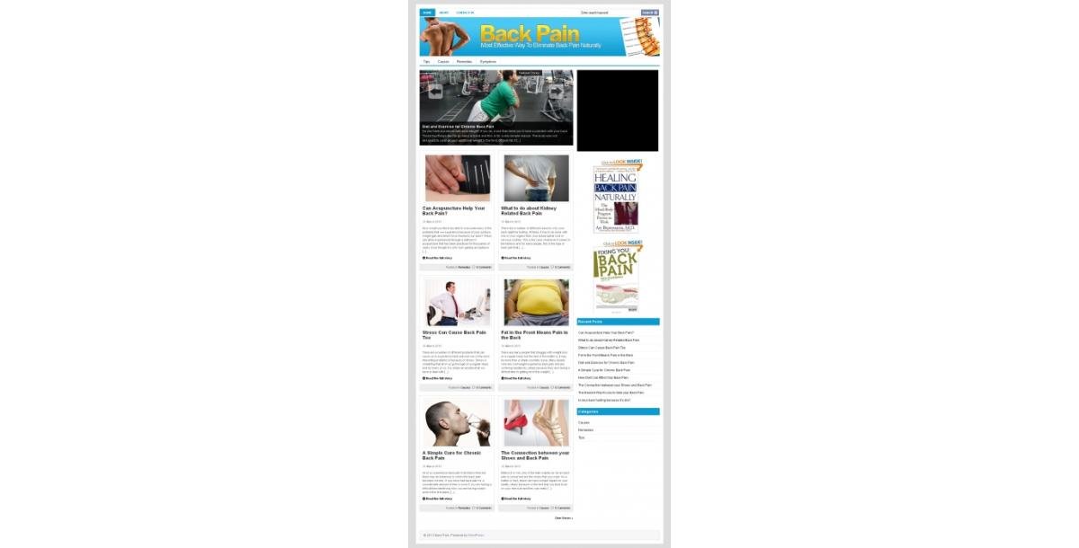 Back Pain PLR Niche Blog-286
