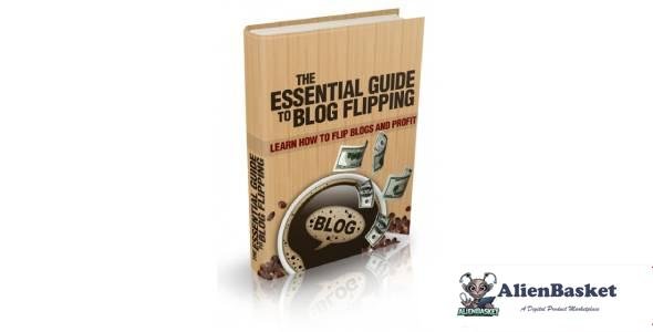 The Essential Guide To Blog Flipping-9473