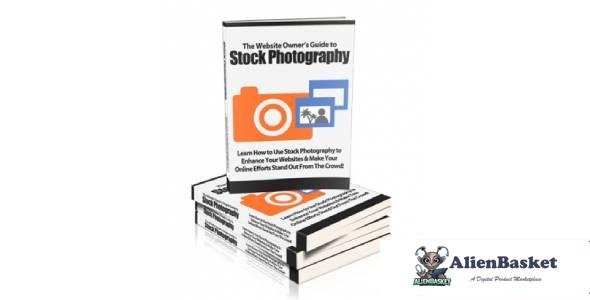 Website Owners Guide To Stock Photography-5444