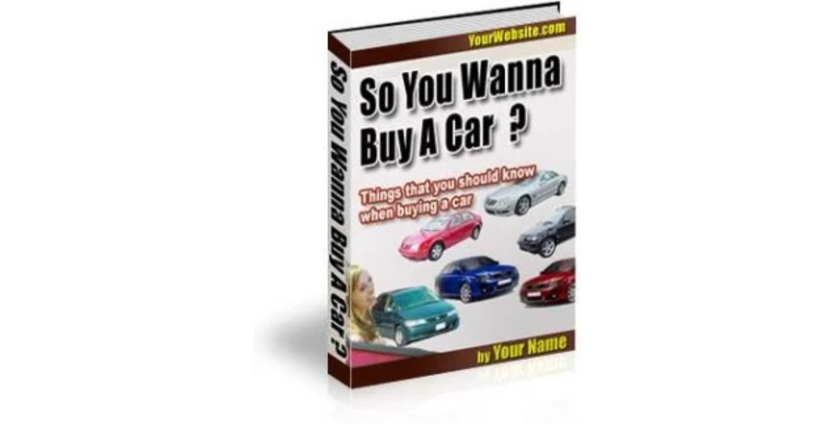 So You Wanna Buy A Car ?-2406