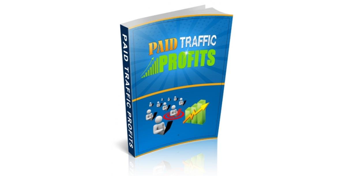 Paid Traffic Profits-4261