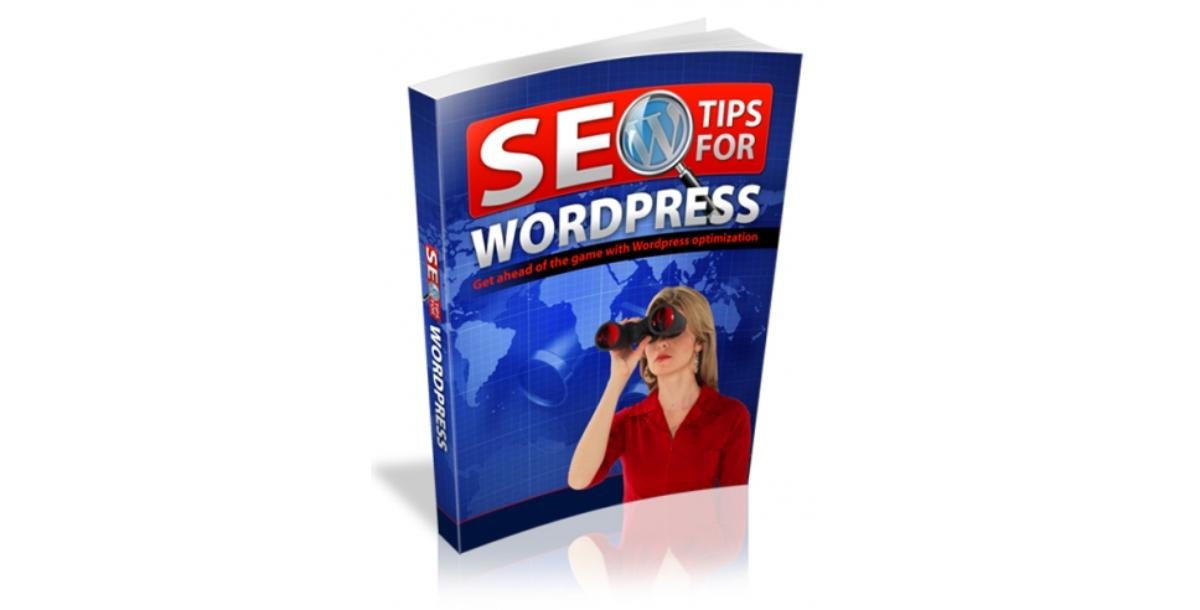 SEO For Wordpress-4285