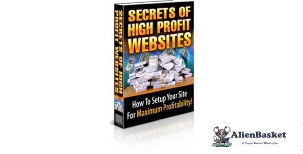 Secrets Of High Profit Websites-8450