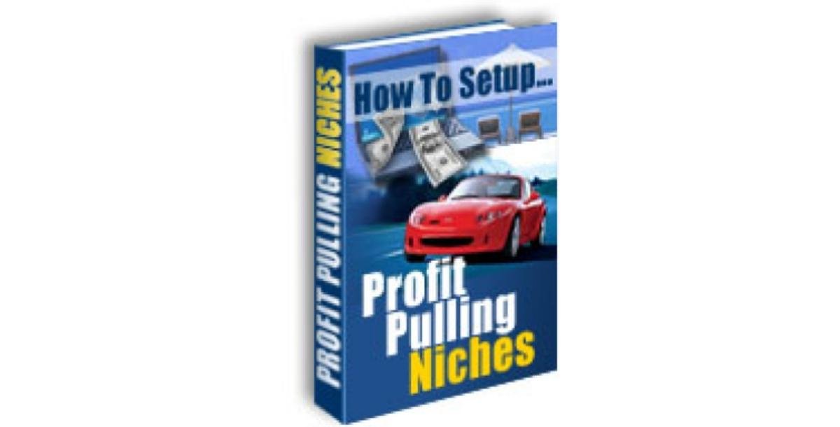 How To Setup Profit Pulling Niches-2619