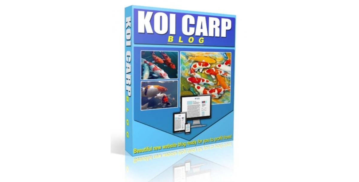 Koi Carp Niche Blog 2015-4313