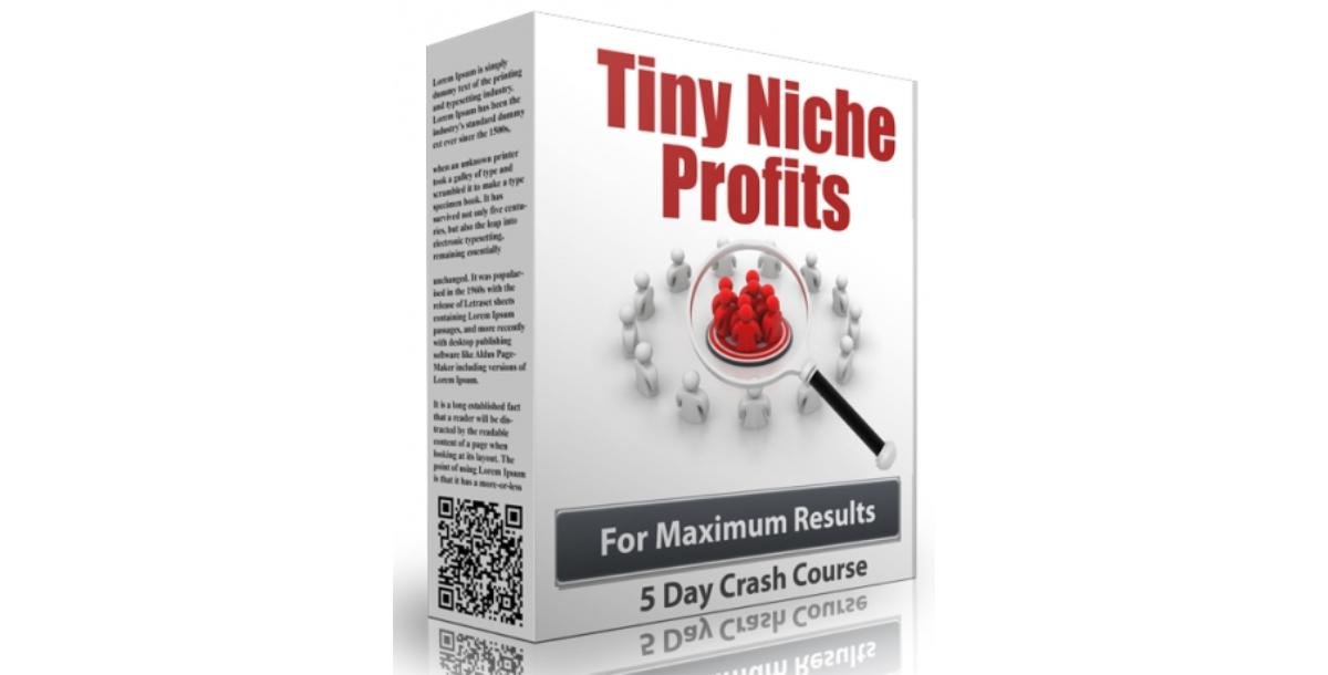 Tiny Niche Profits-4347