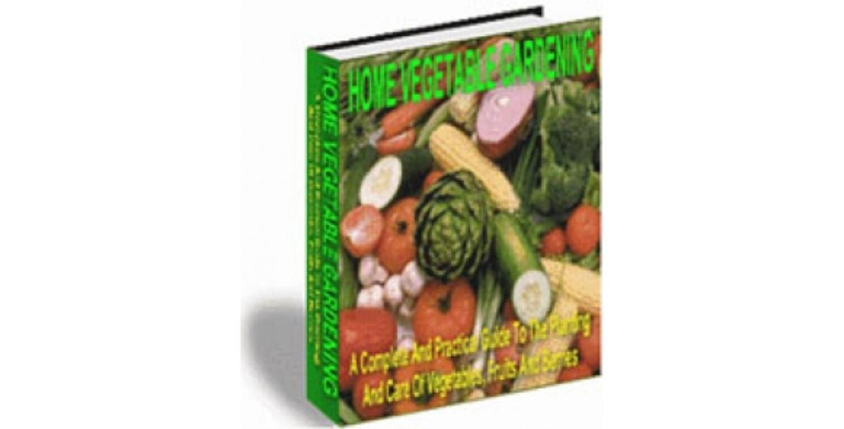 Home Vegetable Gardening-5253