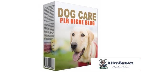 Dog Care PLR Niche Blog-4426