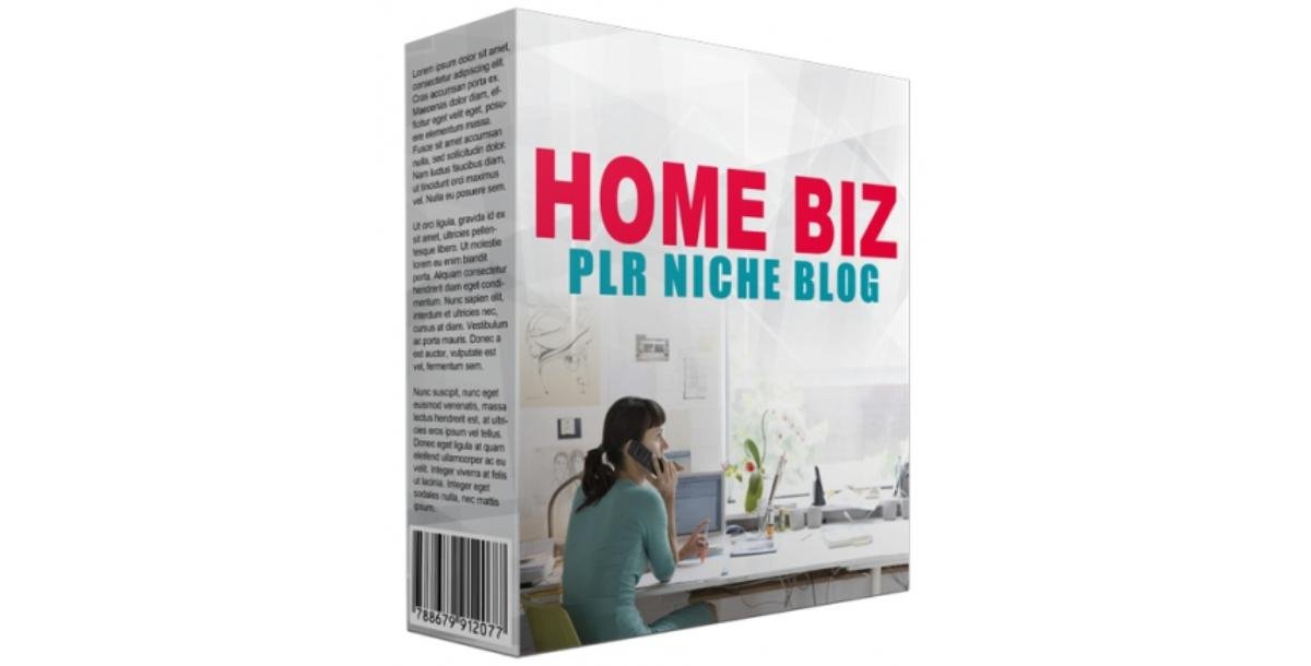 Home Biz PLR Niche Blog V2-4427
