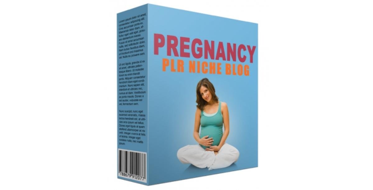 Pregnancy PLR Niche Blog V2-1627