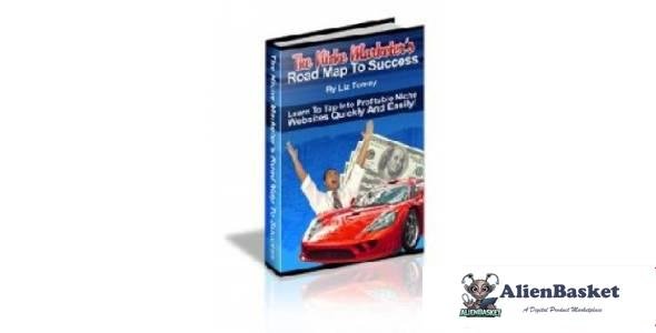 The Niche Marketer's Road Map To Success-2634